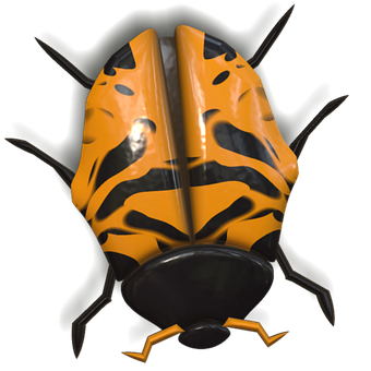 Orange Black Ladybug Illustration PNG