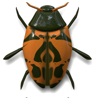 Orange Black Ladybug On Dark Background PNG
