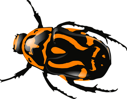 Orange Black Patterned Bug PNG
