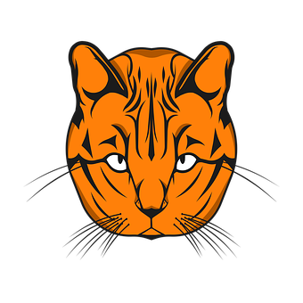 Orange Black Tiger Face Graphic PNG