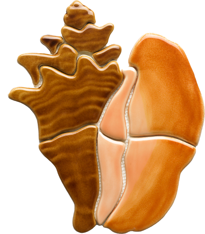 Orange Brown Conch Shell PNG