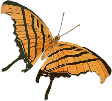 Orange Butterfly Illustration.png PNG