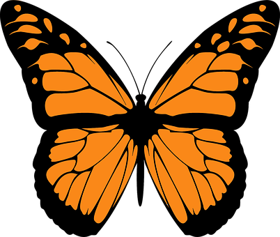 Orange Butterfly Rorschach Inkblot PNG