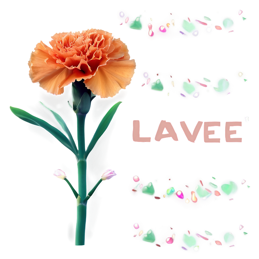 Orange Carnation Love Png 75 PNG