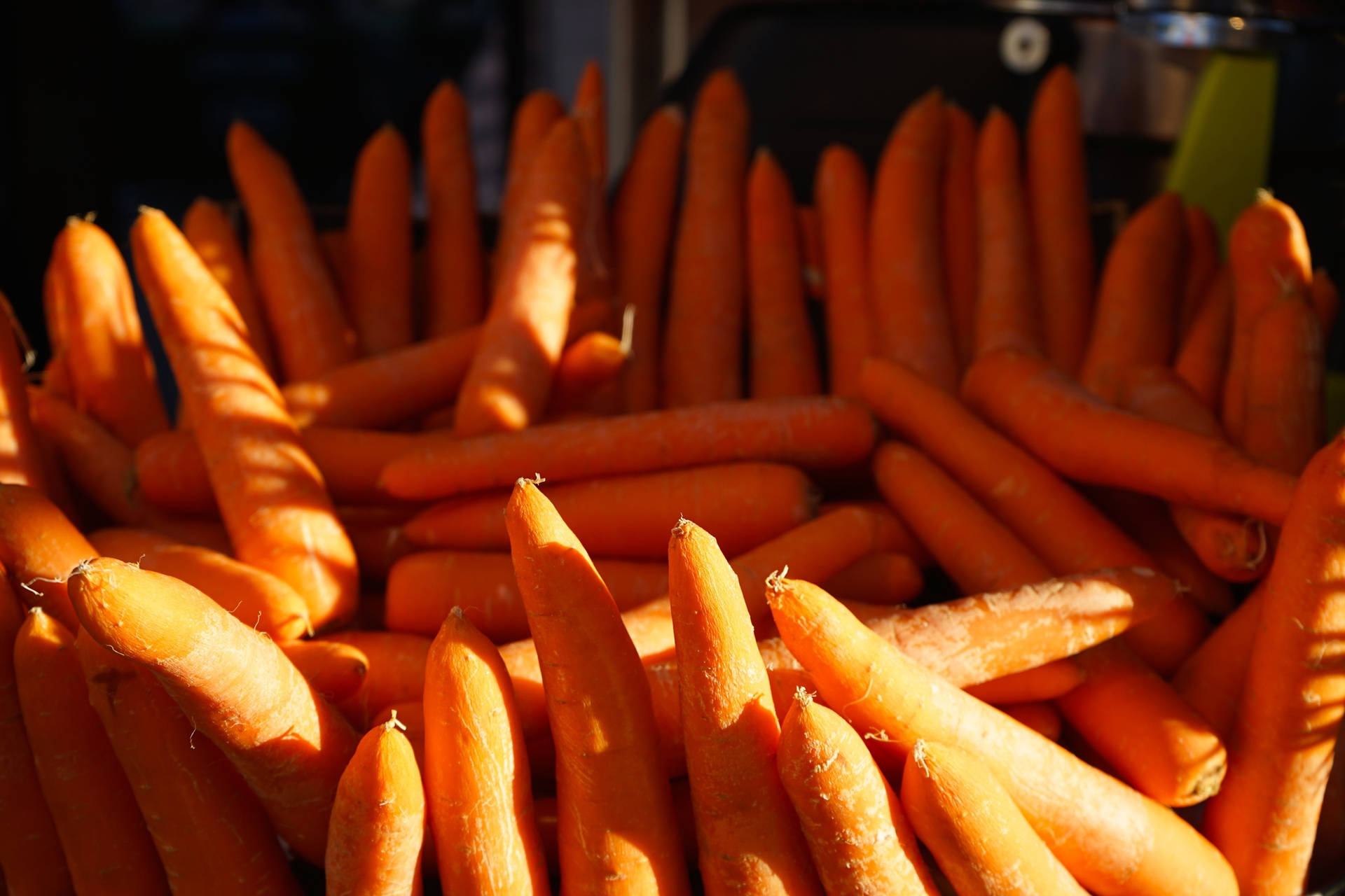 Orange Carrot Root Vegetables With Sunlight Wallpaper