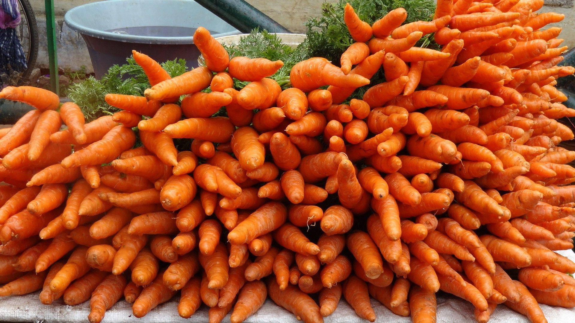 Orange Carrot Vegetables And Tap Roots Wallpaper