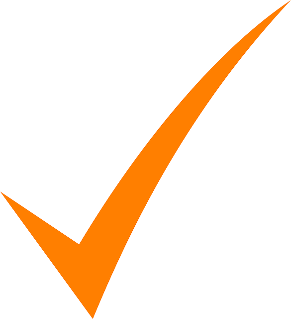 Orange Check Mark Png, Transparent Png PNG