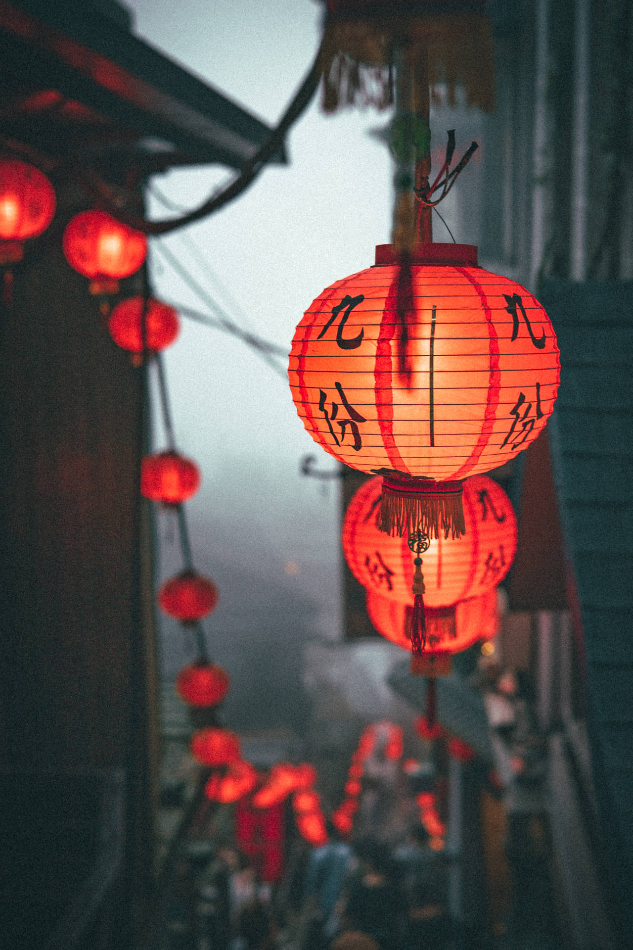 Orange Chinese Lanterns Wallpaper
