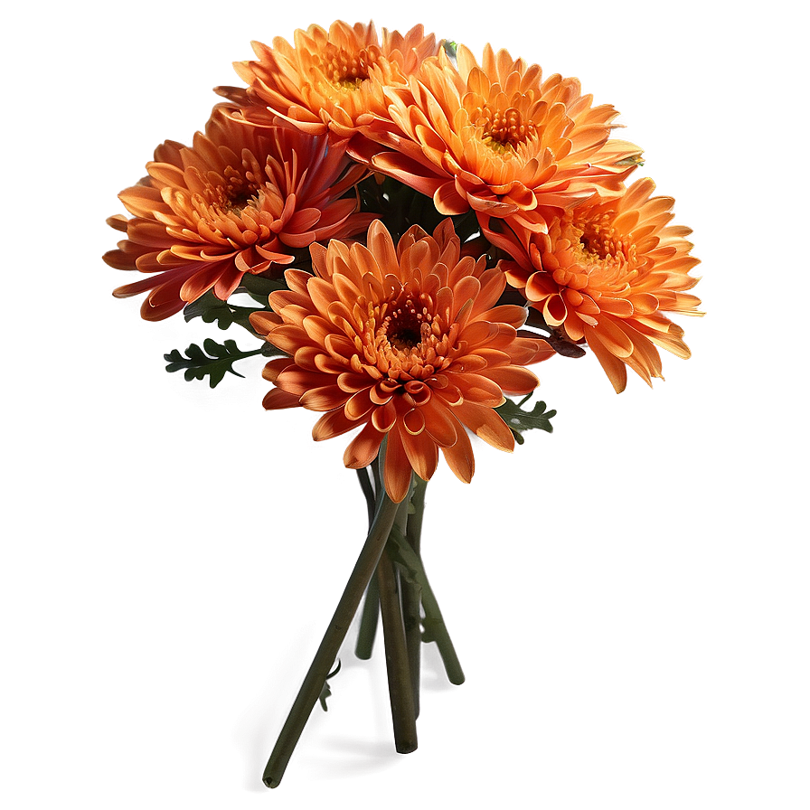 Orange Chrysanthemum Arrangement Png Drh6 PNG