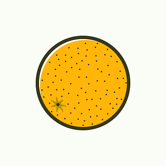 Orange Circle Vector Illustration PNG