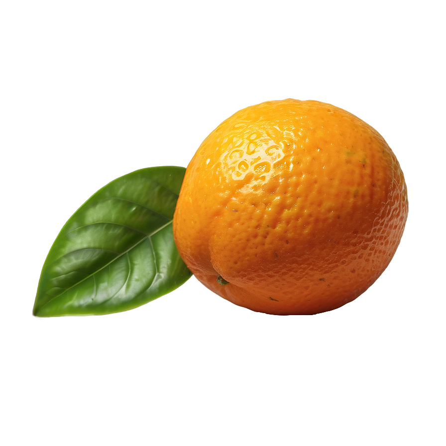 Orange Citrus Wedge Png 05032024 PNG