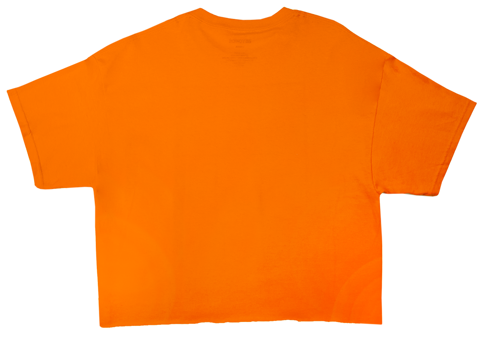 Orange Crop Top Flat Lay PNG