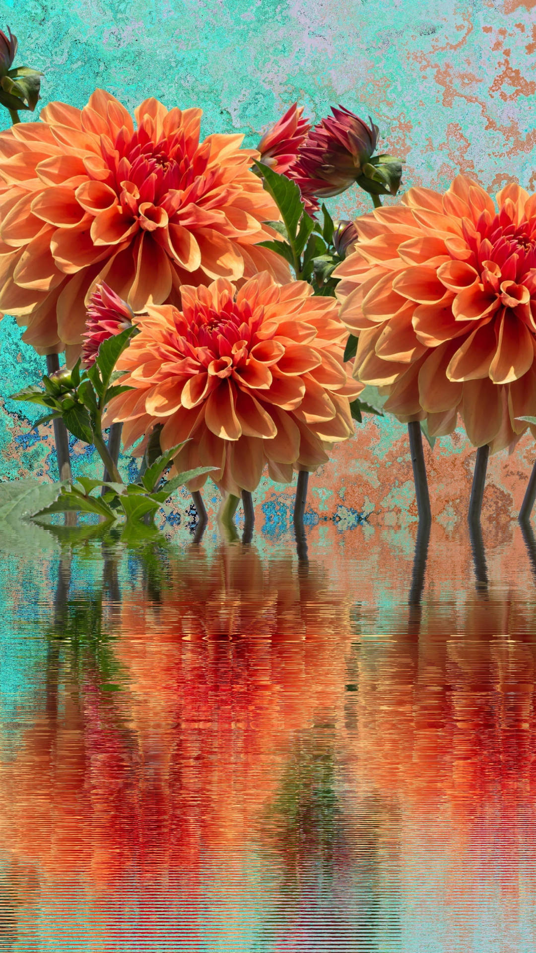 Caption: Vibrant Orange Dahlia Blooming Wallpaper