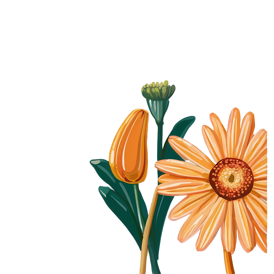 Orange Daisy Illustration Png 06122024 PNG