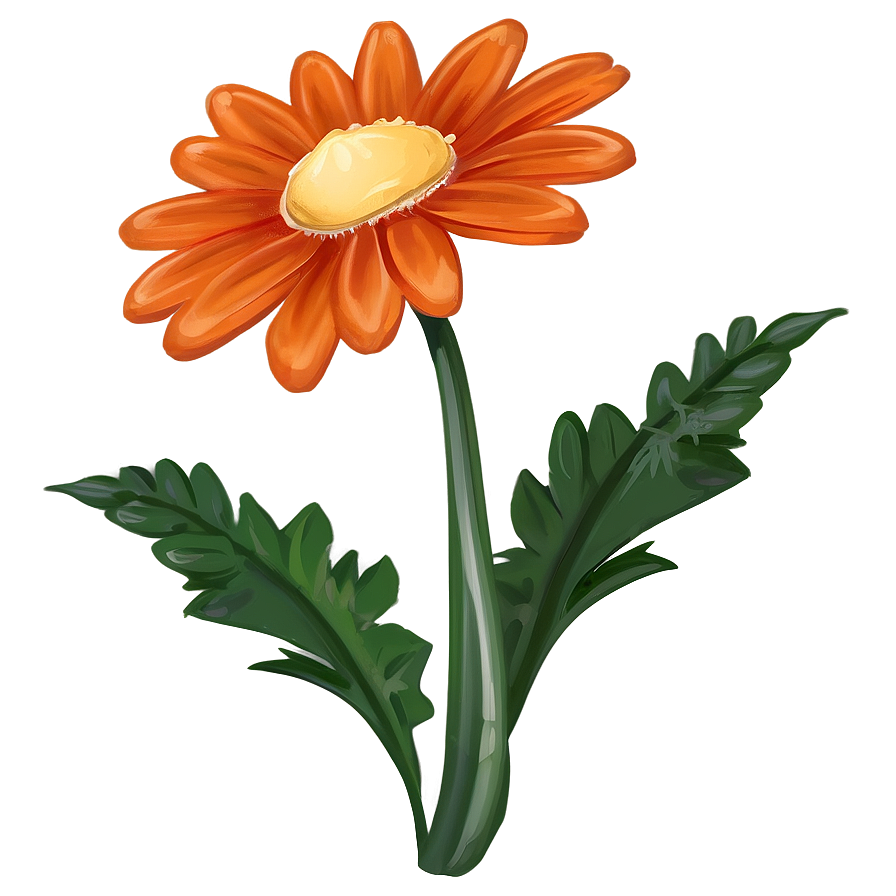 Orange Daisy Illustration Png 57 PNG