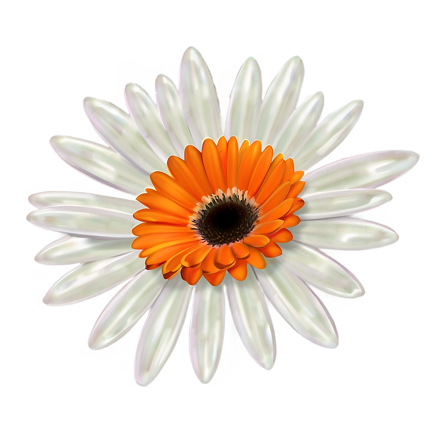 Orange Daisy Illustration Png Iqj32 PNG