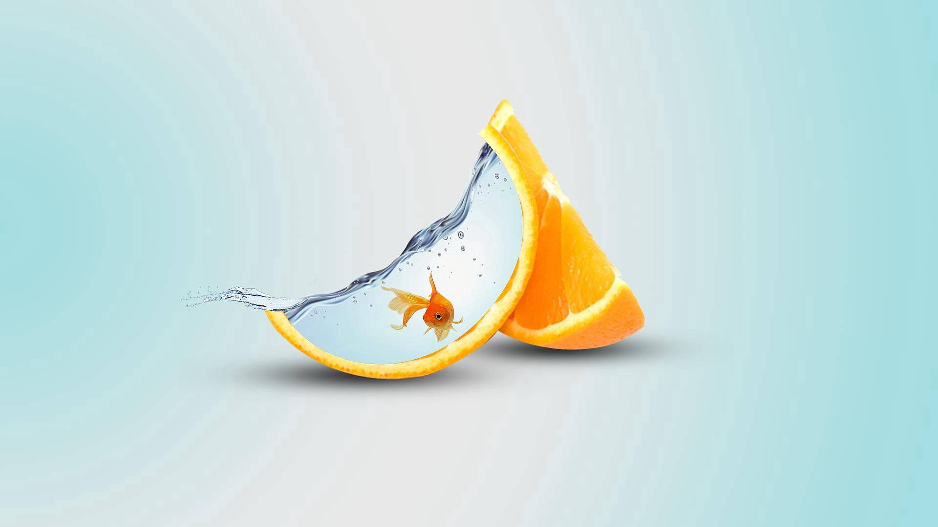 "Explore Endless Possibilities With Orange" Wallpaper