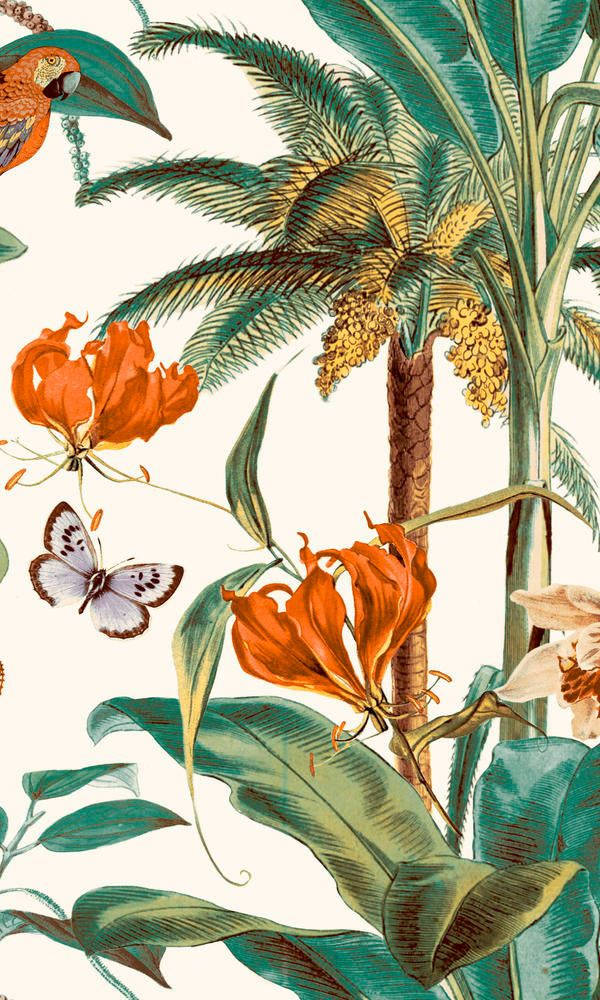 Sommerästhetikorange Florale Illustration Wallpaper