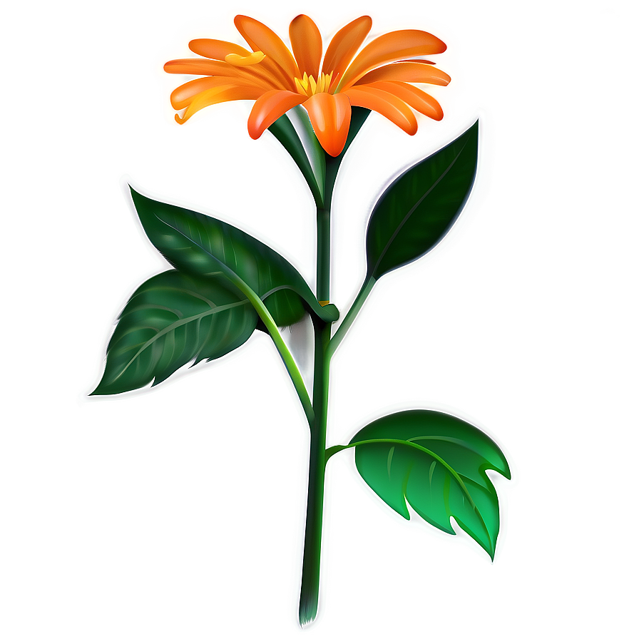 Orange Flower A PNG