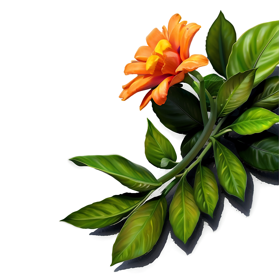 Orange Flower Bouquet Png 06122024 PNG