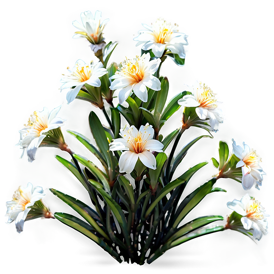 Orange Flower Bush Png 06122024 PNG