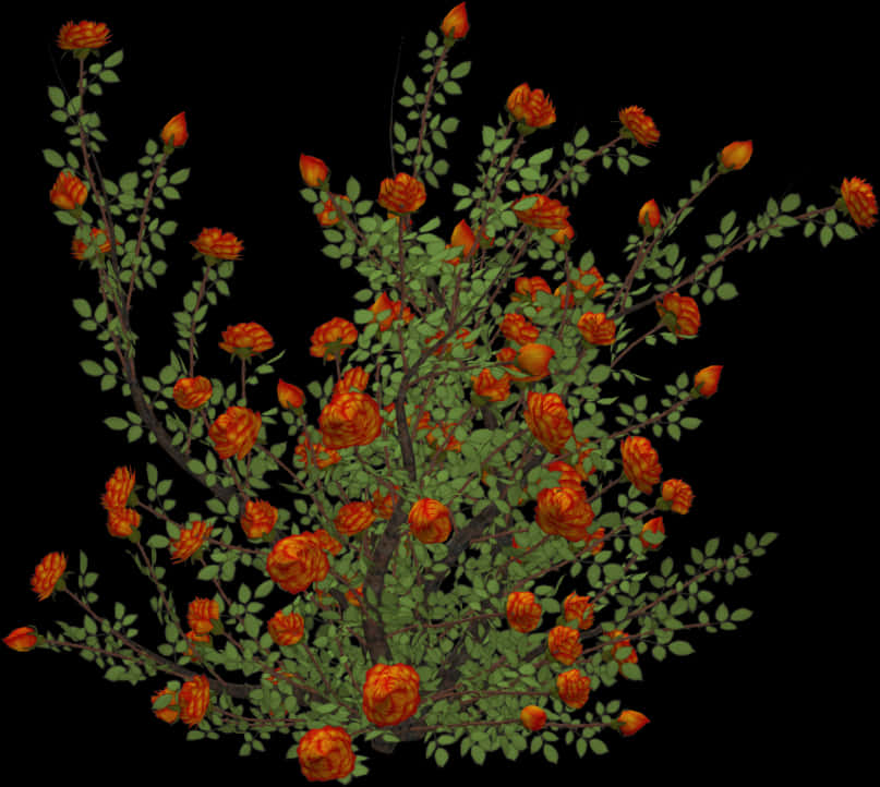 Orange Flower Bushon Black Background PNG