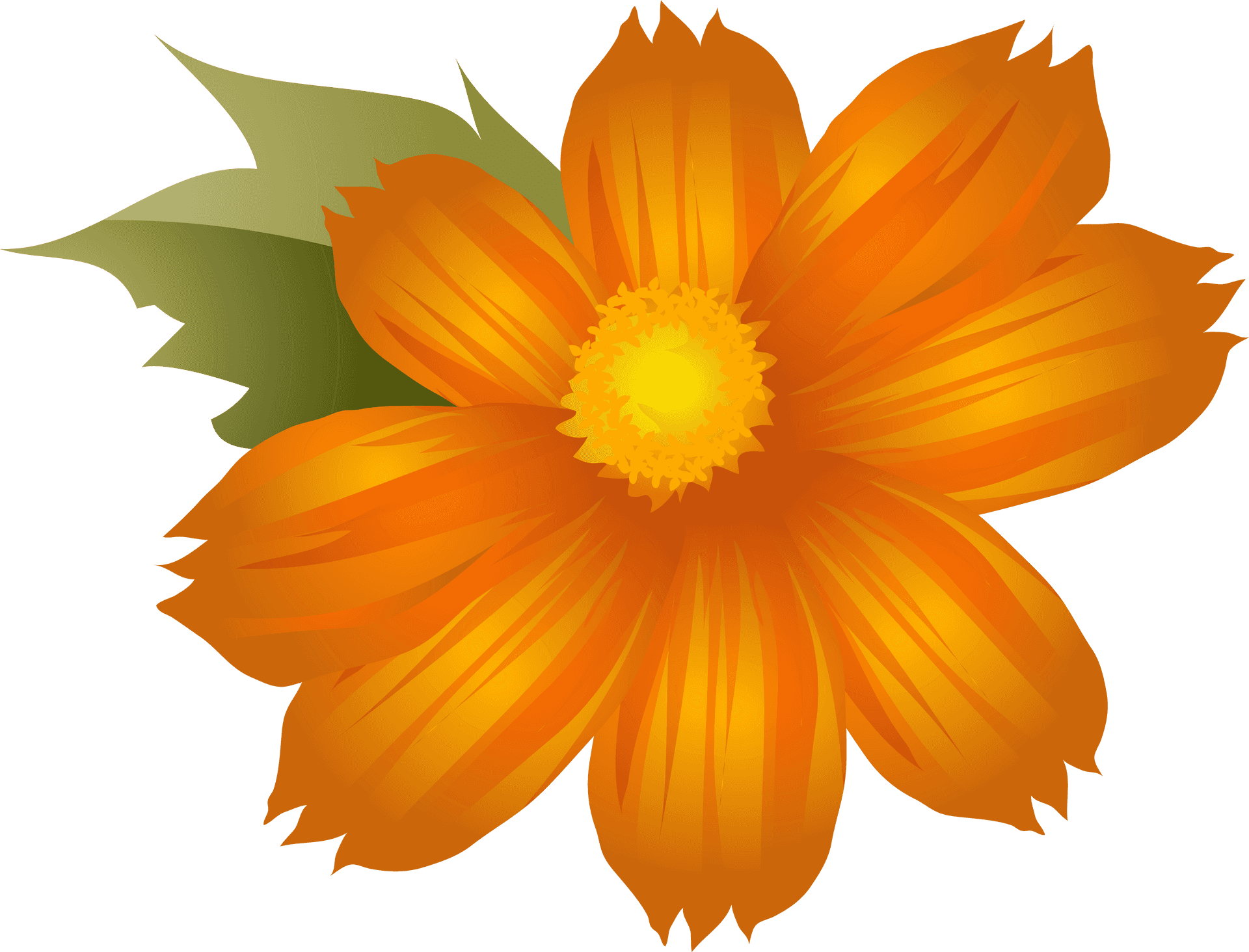 Orange Flower Clipart Illustration PNG