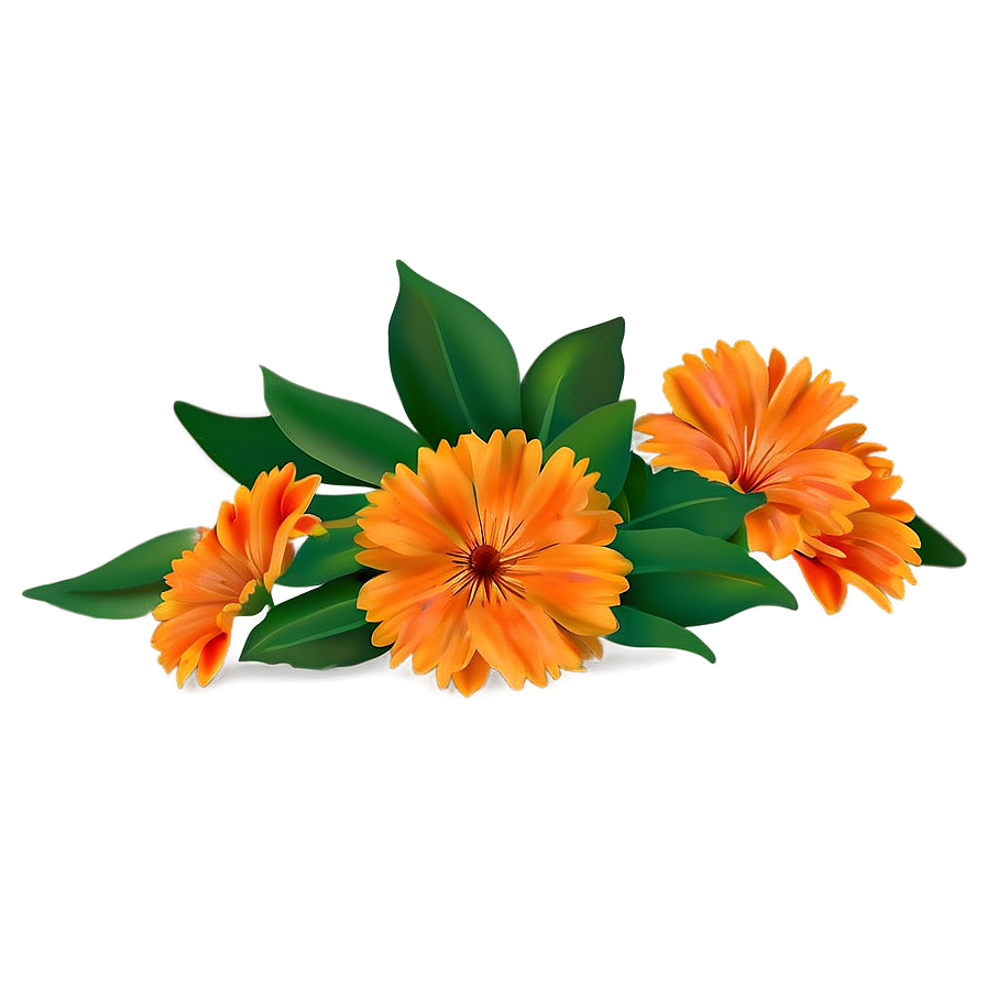 Orange Flower Field Png 49 PNG