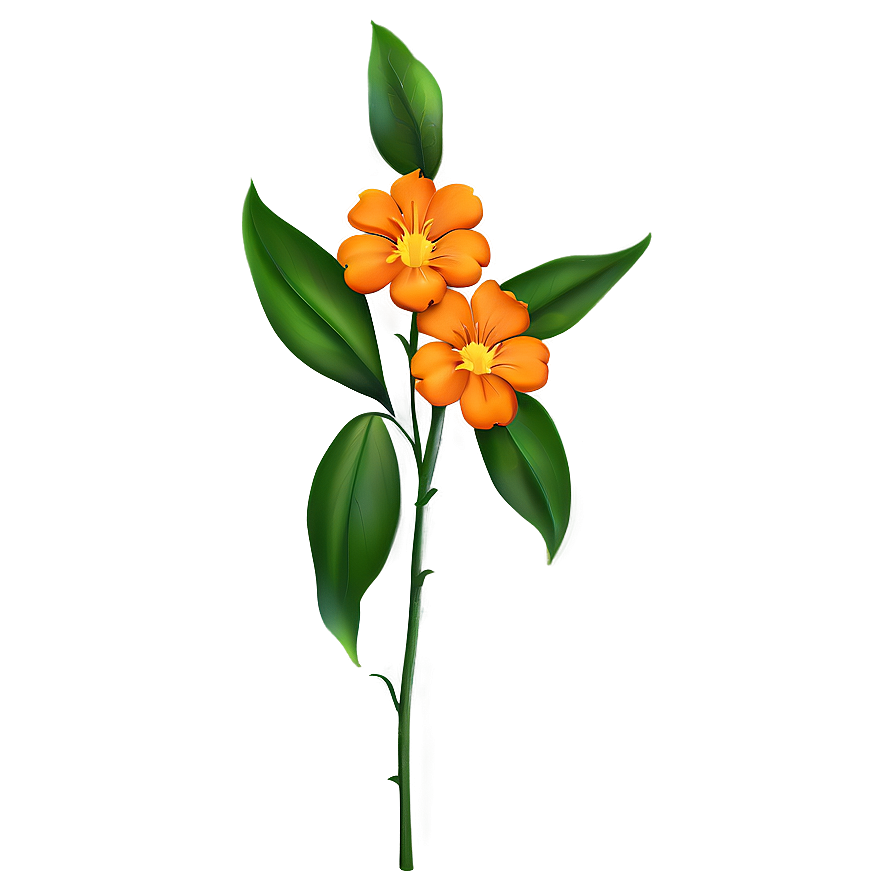 Orange Flower Png 70 PNG