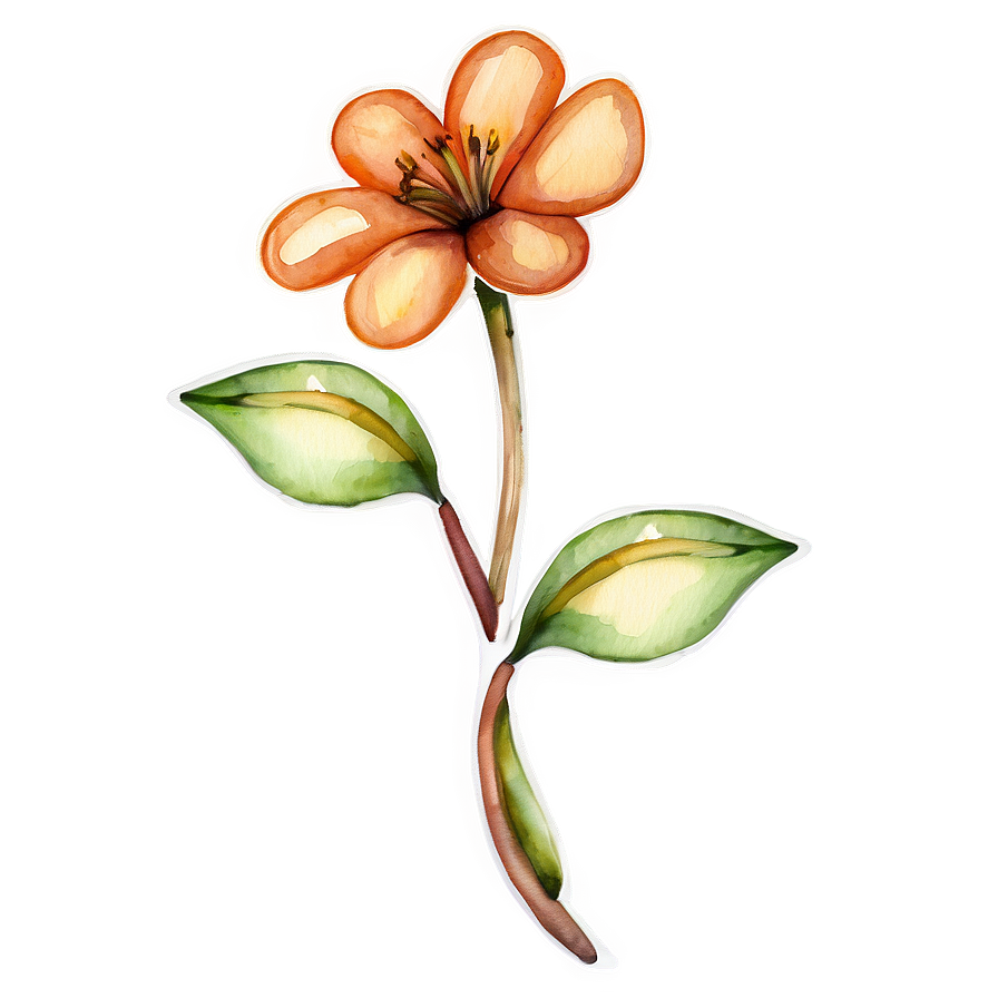 Orange Flower Watercolor Png Gmw PNG