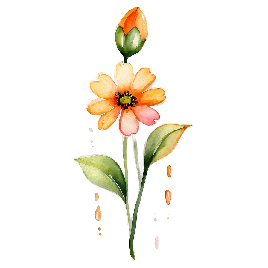 Orange Flower Watercolor Png Qrr PNG