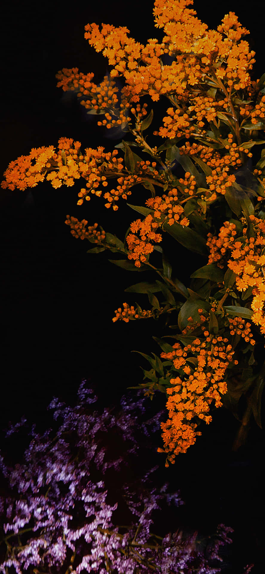 Orange Flowers Over Violet Flowers Wallpaper