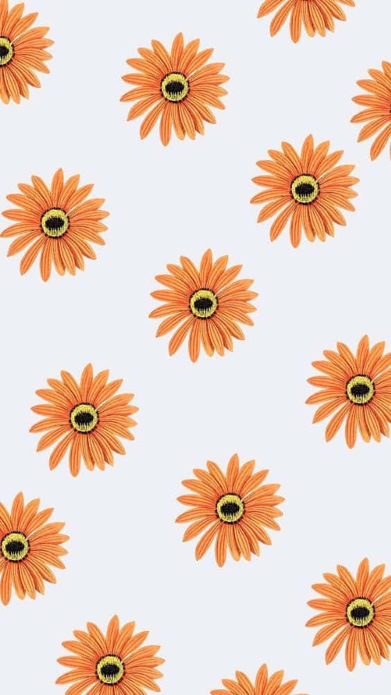 Orange Flowers Pattern Wallpaper
