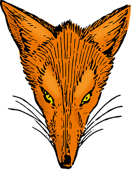 Orange Fox Face Illustration PNG