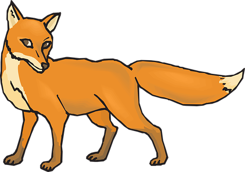 Orange Fox Illustration PNG