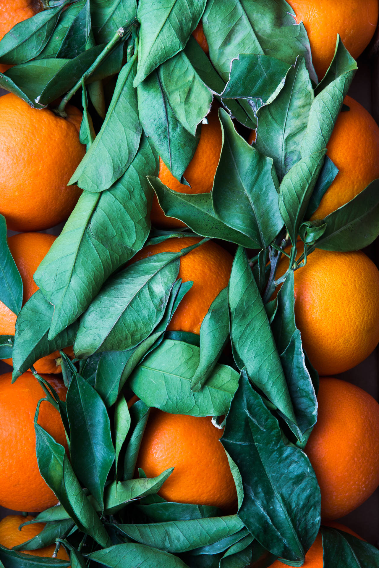 Orange Frugt Med Blade Blæser På En Blød Brise Wallpaper