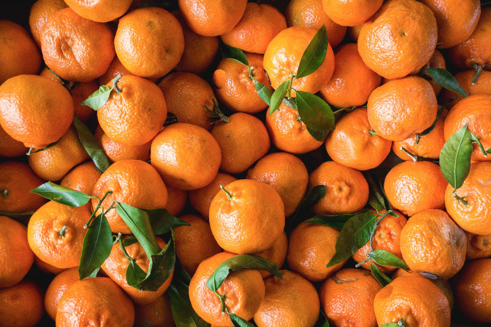 Orangefrüchte Wallpaper