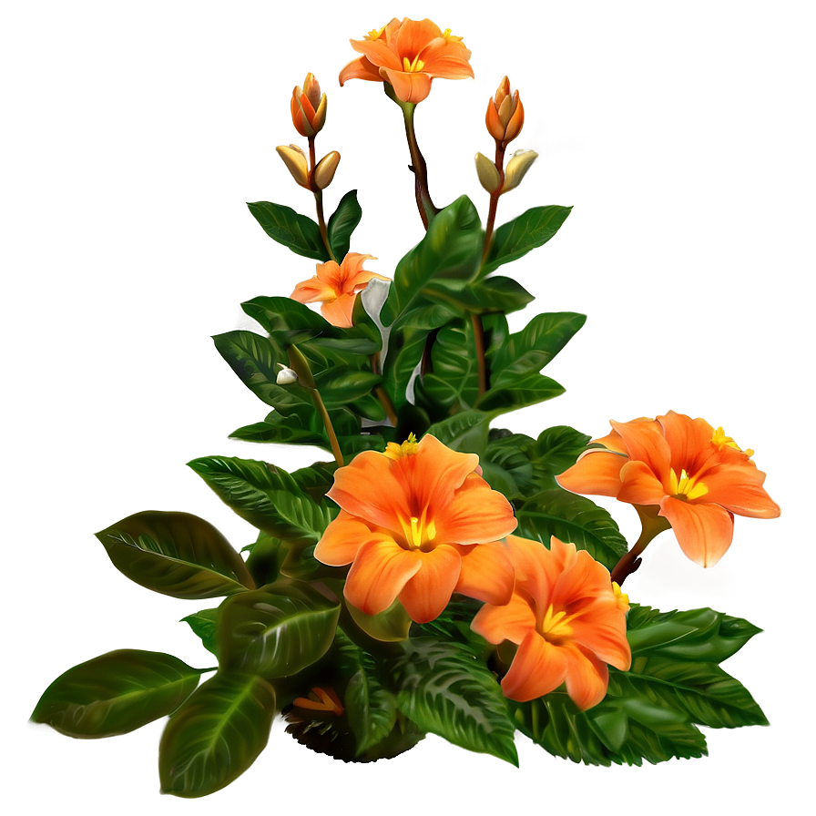 Orange Garden Flower Png Adm52 PNG