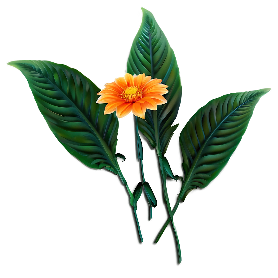 Orange Garden Flower Png Uqn52 PNG