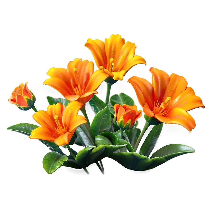 Orange Garden Flower Png Wuk PNG