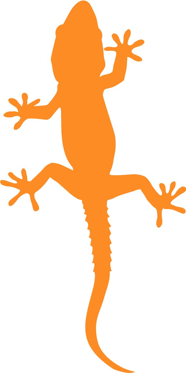 Orange Gecko Silhouette PNG