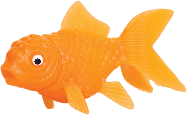 Orange Goldfish Candy PNG