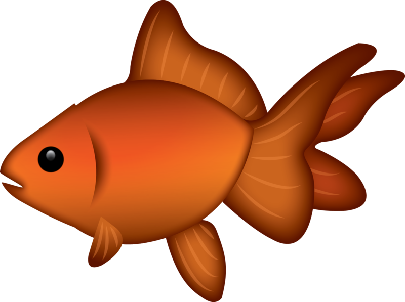 Orange Goldfish Cartoon Illustration PNG