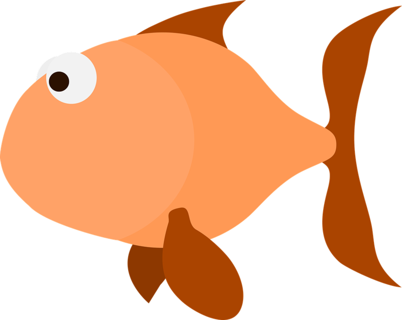 Orange Goldfish Cartoon Illustration PNG