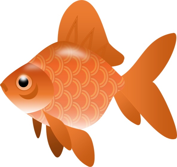 Orange Goldfish Illustration PNG