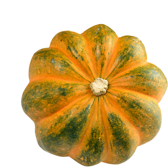 Orange Green Patterned Squash PNG