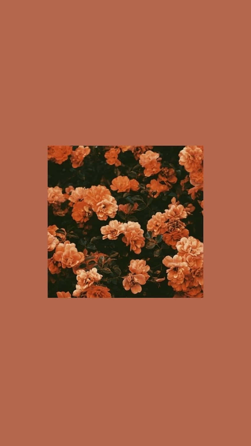 Orange Grunge Floral Aesthetic.jpg Wallpaper