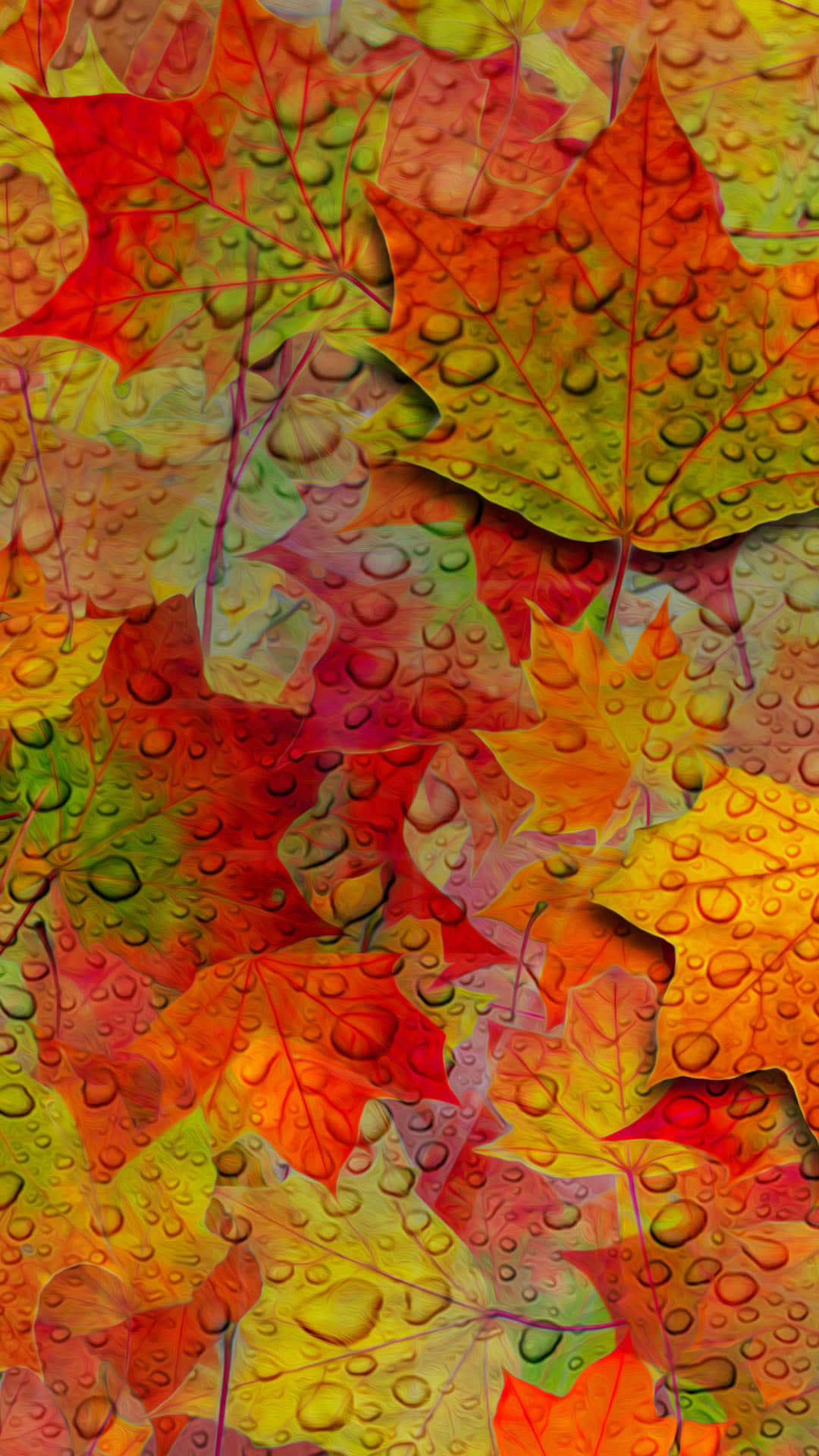A Colorful Autumn Leaves Covered In Water Droplets Wallpaper