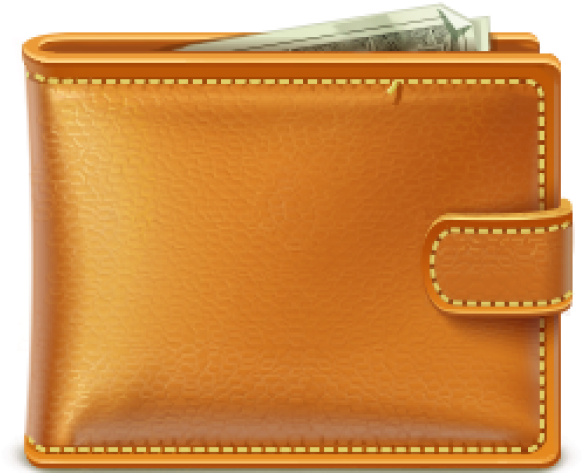 Orange Leather Walletwith Cash PNG