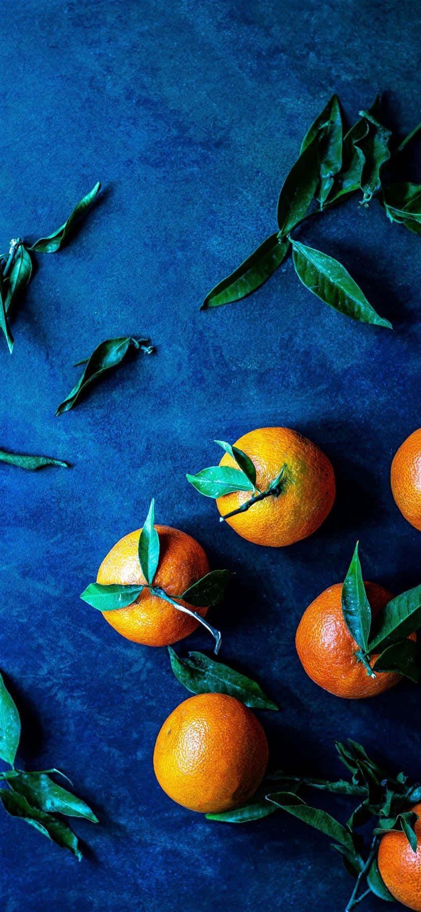 Oranges Blad Still Life Kunst Print Wallpaper Wallpaper